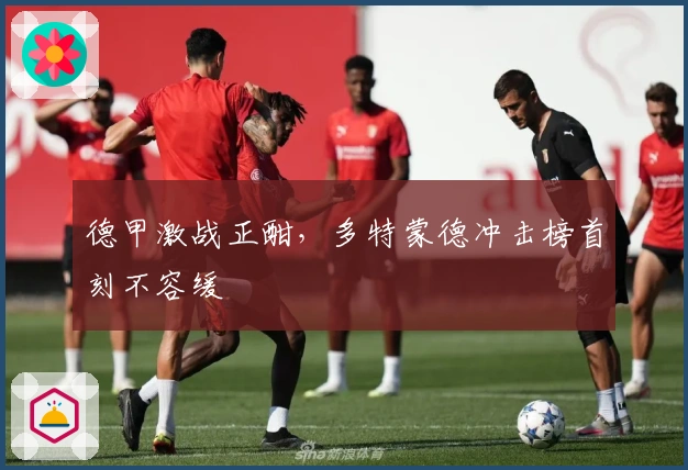 德甲激战正酣，多特蒙德冲击榜首刻不容缓